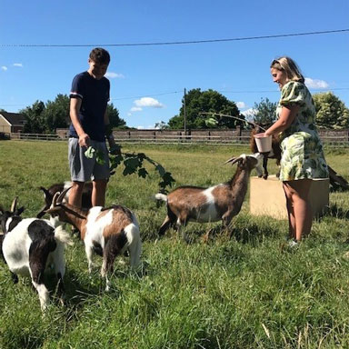 Kennel Farm